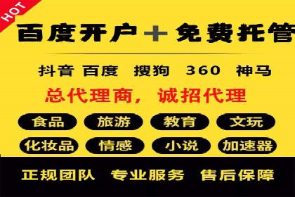 XX行业竞价广告的投放策略与效果分析
